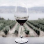 Rappresentanze vini a Salerno